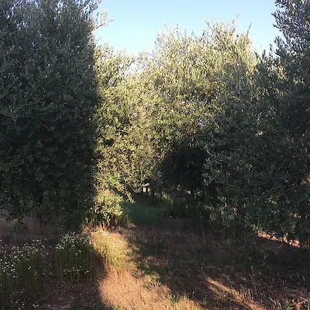 Soleluna * Montichiari